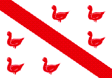 Flag for Tinlot